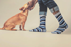 Man scratching under the chin of a doggy with some cool socks on