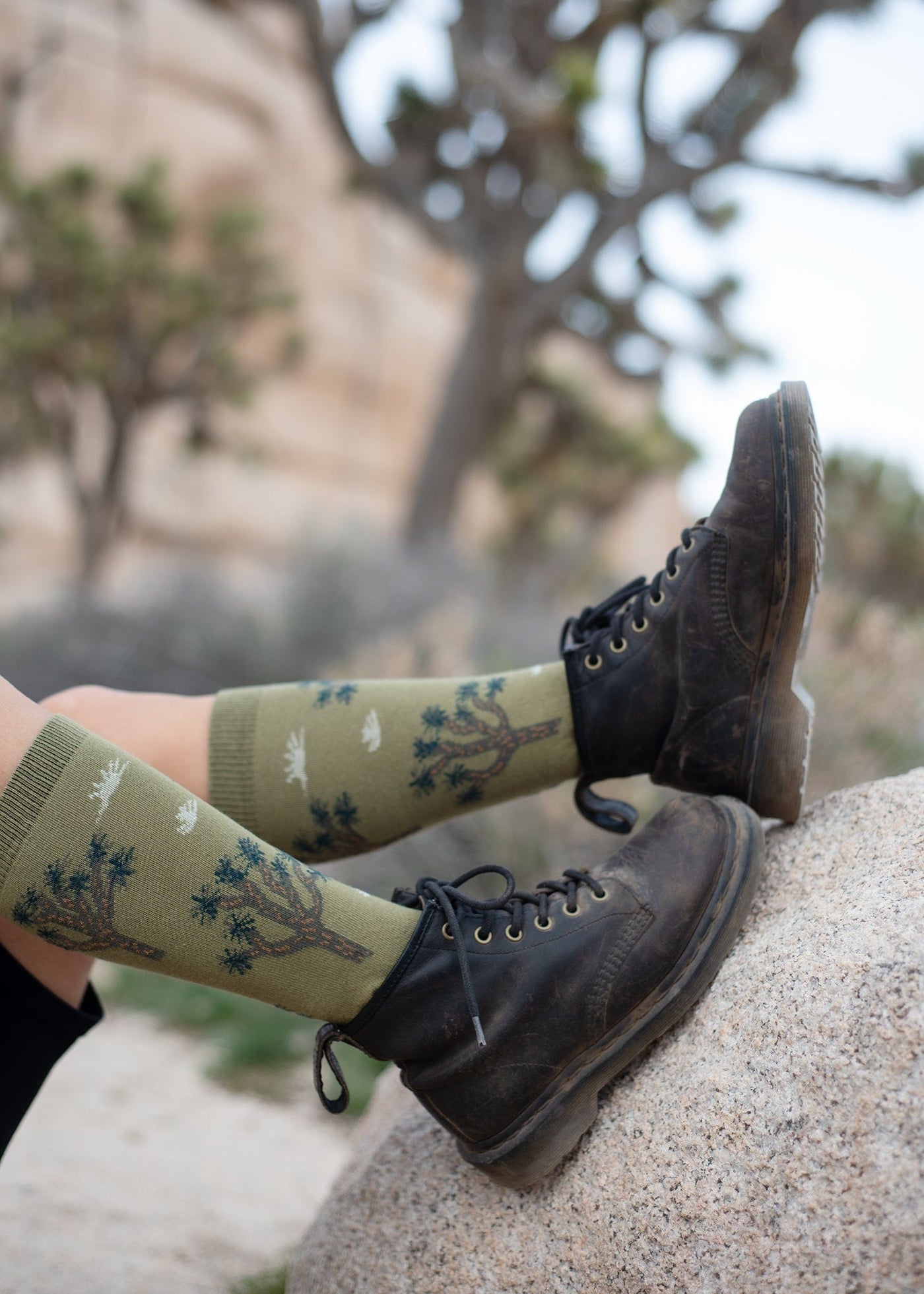 Zkano Crew Joshua Tree - Organic Cotton Crew Socks - Peat organic-socks-made-in-usa